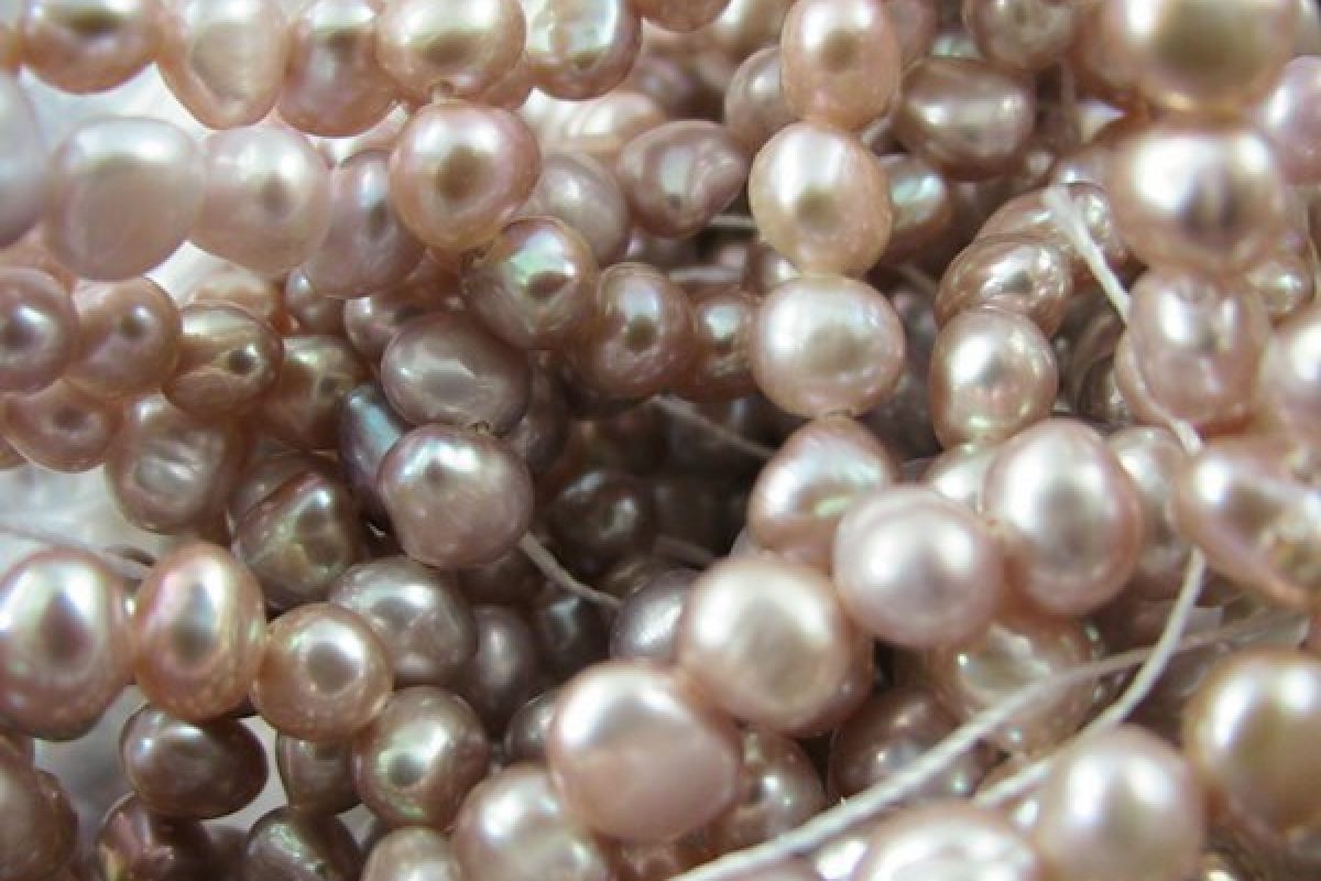 how-much-does-a-pearl-necklace-cost-genisi-pearls